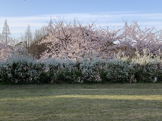 IMG_1500.jpgs.jpg
