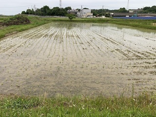 IMG_2577.jpgs.jpg