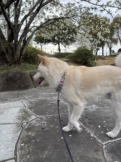 IMG_3079.jpgs.jpg